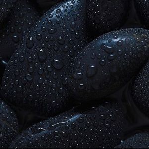 Meet your Posher, Melina